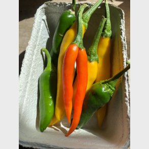 Chili mix bakke