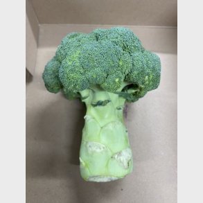 Broccoli 