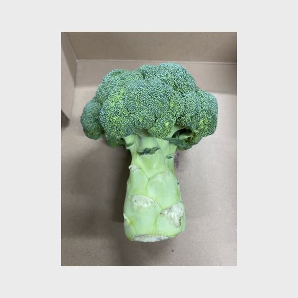 Broccoli 
