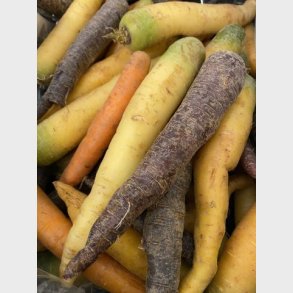 Guler�dder Mix farver 1kg