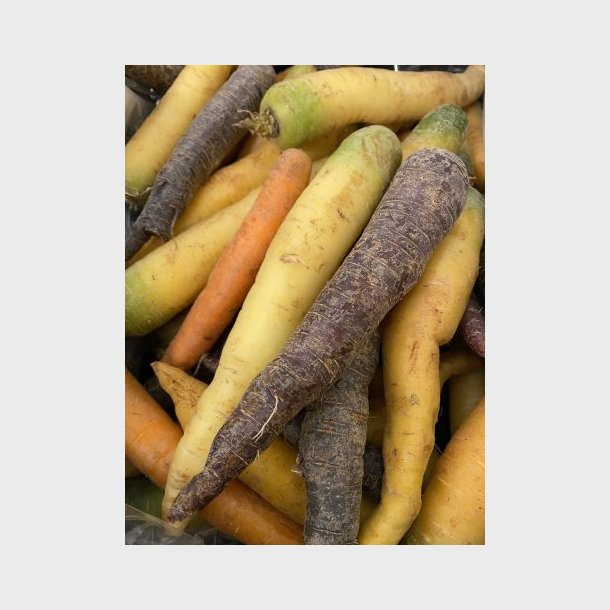 Guler�dder Mix farver 1kg