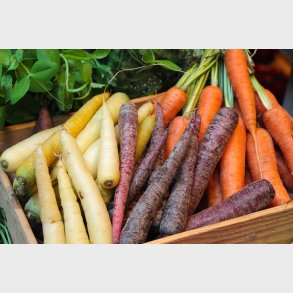 Gulerdder Mix farver 1kg