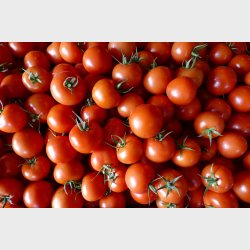 Tomater (500gr)