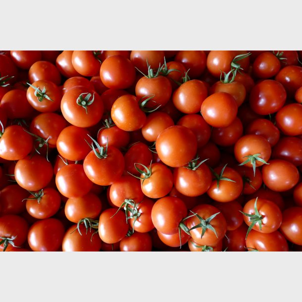 Tomater (500gr)