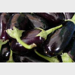 Aubergine
