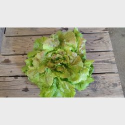 Salat