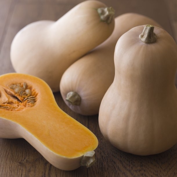 Butternut Squash