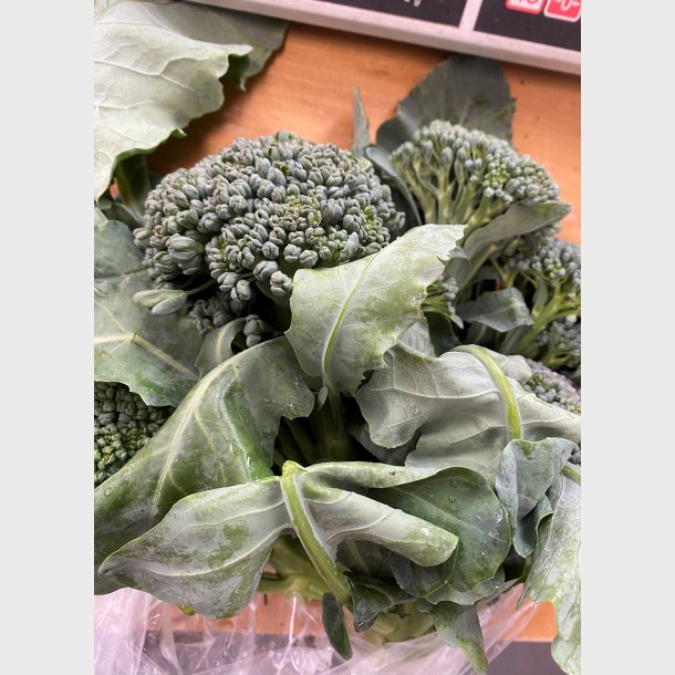 Broccoli 