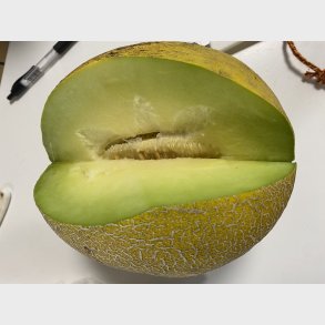 Stor Honningmelon