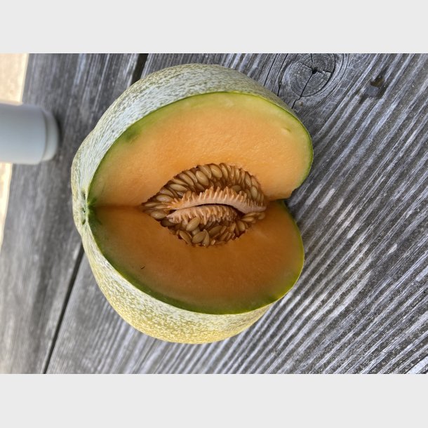 Lille honningmelon