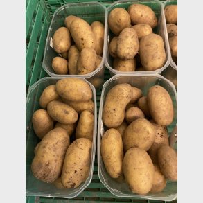 Kartofler 1kg