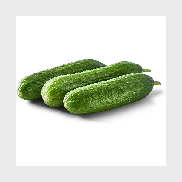 Skoleagurk 3stk