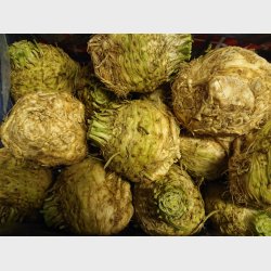 Knoldselleri min. 1kg