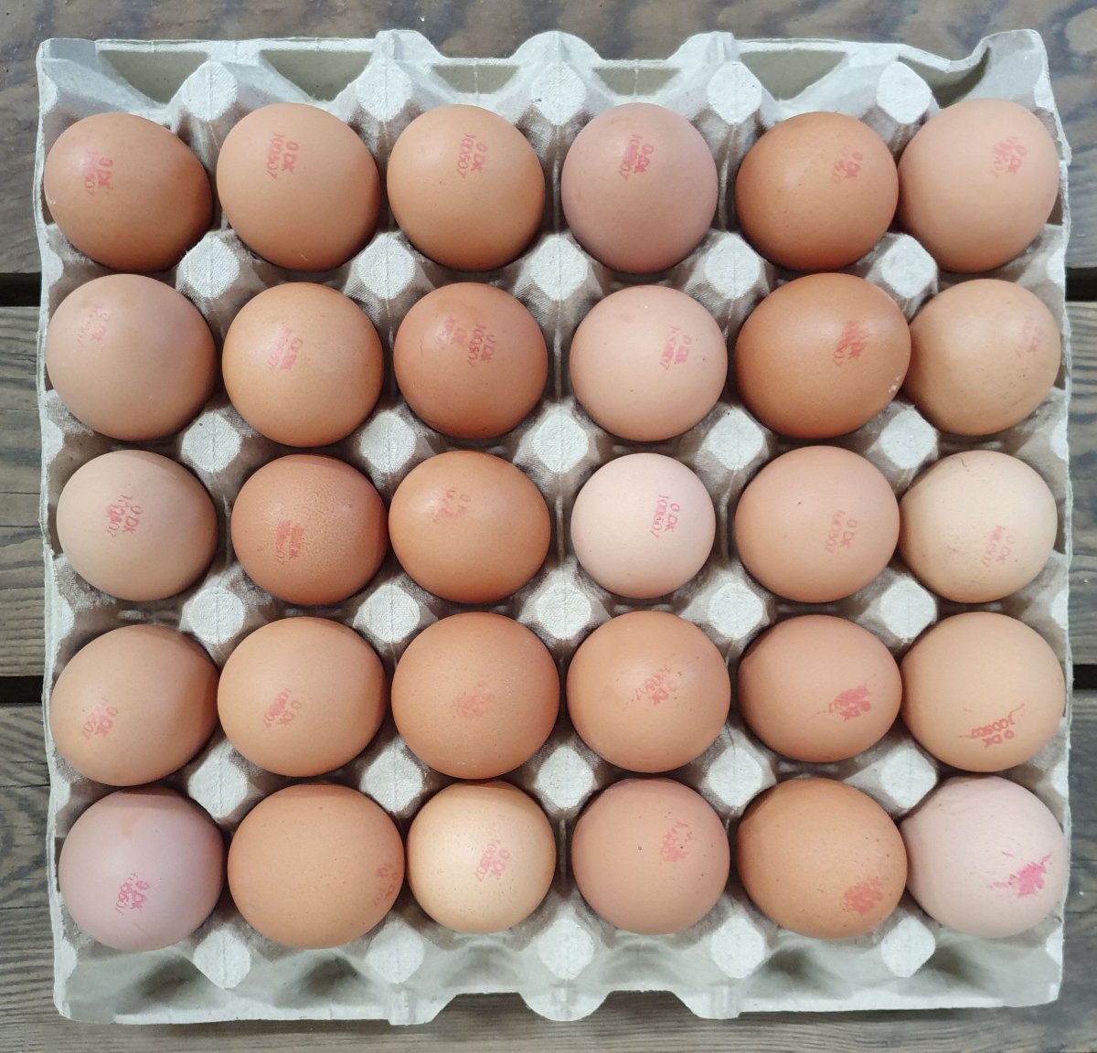 æg 30 økologiske - ÆG Marjatta