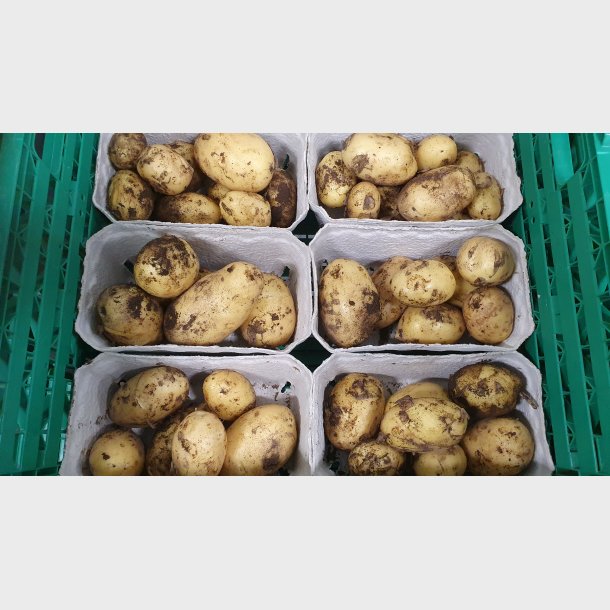 Nye kartofler 500gr