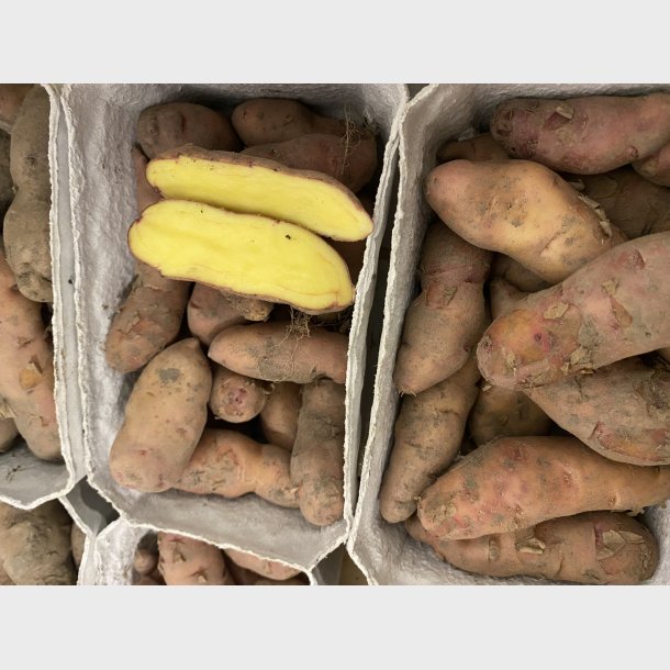 Gourmet kartofler 500g
