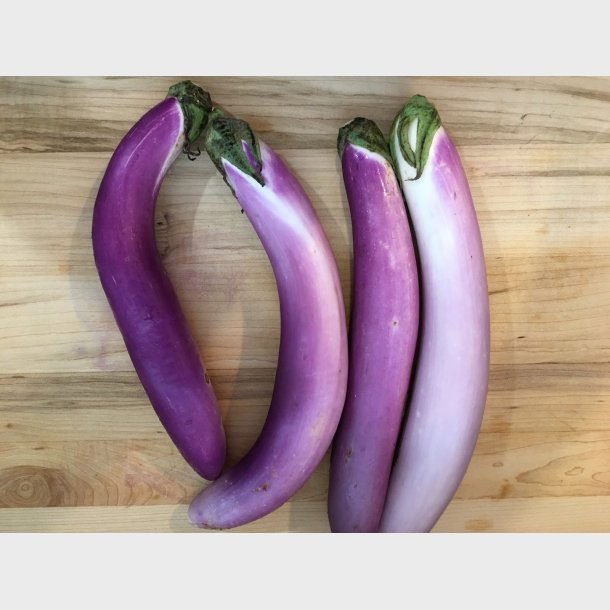 Japansk aubergine pose