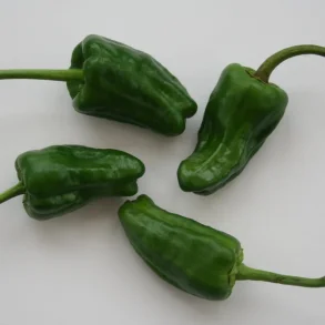 Tapas Peber 