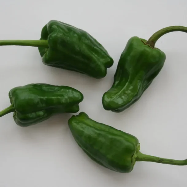 Tapas Peber 