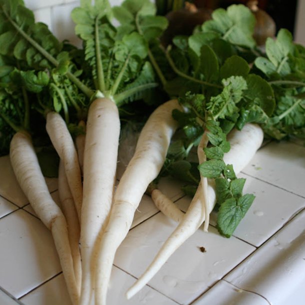 Daikon Radise 300g
